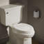 Stonewood Quiet-Close Compression-Molded Wood Toilet Seat-1987577915-1901214035