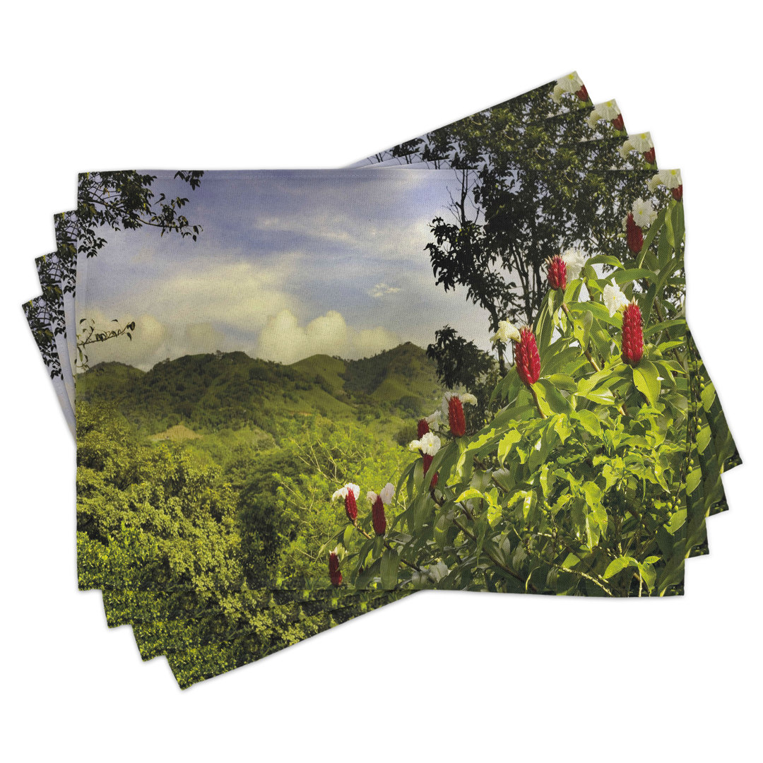 Platzmatten, Landwirtschaftliche Landschaft Costa Rica, Wald, Violettblau Grün Rot