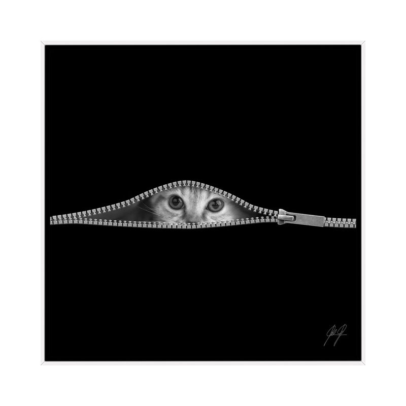 «The Timid» par Kathrin Federer - reproduction de photo, Aucun mat, H 26 po x l 26 po x P 1,5 po, White Framed