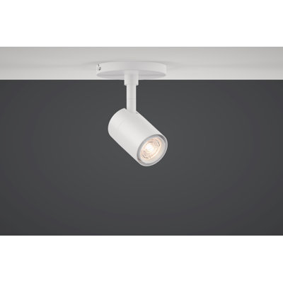GX 10 Monopoint Spotlight