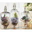 Terra Glass Jar - Set of 3