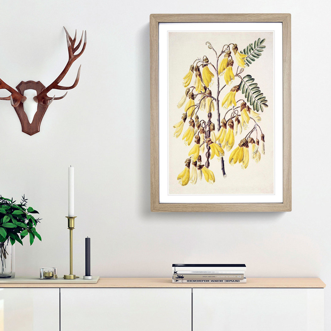 Kowhai Flowers by Sarah Featon - Picture Frame Art Print