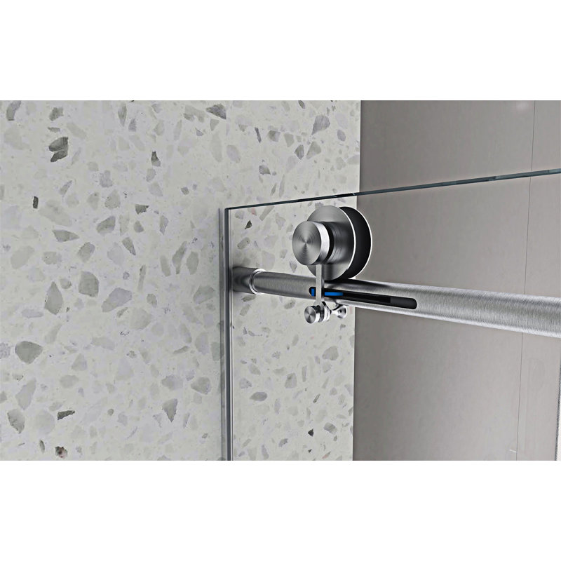 Porte de douche sans cadre brossée, Nickel brossé