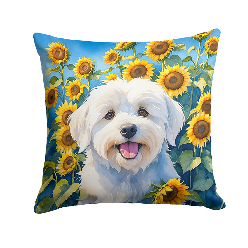 Coussin décoratif intérieur / extérieur Autre / Sans motif, H 14 po x l 14 po