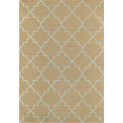 Carrizal Geometric Hand Woven Indoor / Outdoor Area Rug