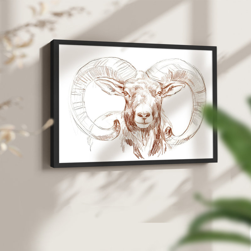 Big Horn Sheep I -Framed Print - Restickable, Noir, noir, noir, noir, H 16 po x l 20 po