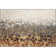 Premium Machine Washable Kolten Ivory Rug