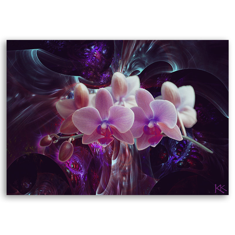 White Orchid Flowers - Wrapped Canvas Print, 70cm H x 100cm W