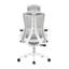 Ashton Plus Office Chair-1472640127