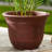 Sayoko Pot Planter-1286913615-1286913614