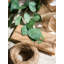Branche de eucalyptus artificielle