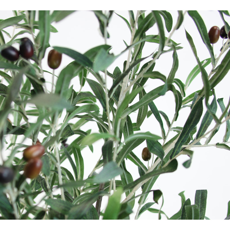Olive artificielle en pot, H 74 po x l 26 po x P 26 po