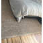 Area Rug in Beige-174780008