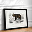 Brown Bear - Framed Print-48215781-48215782