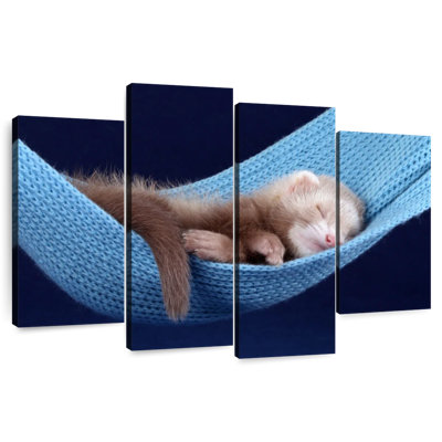 Brampt Ferret Hammock