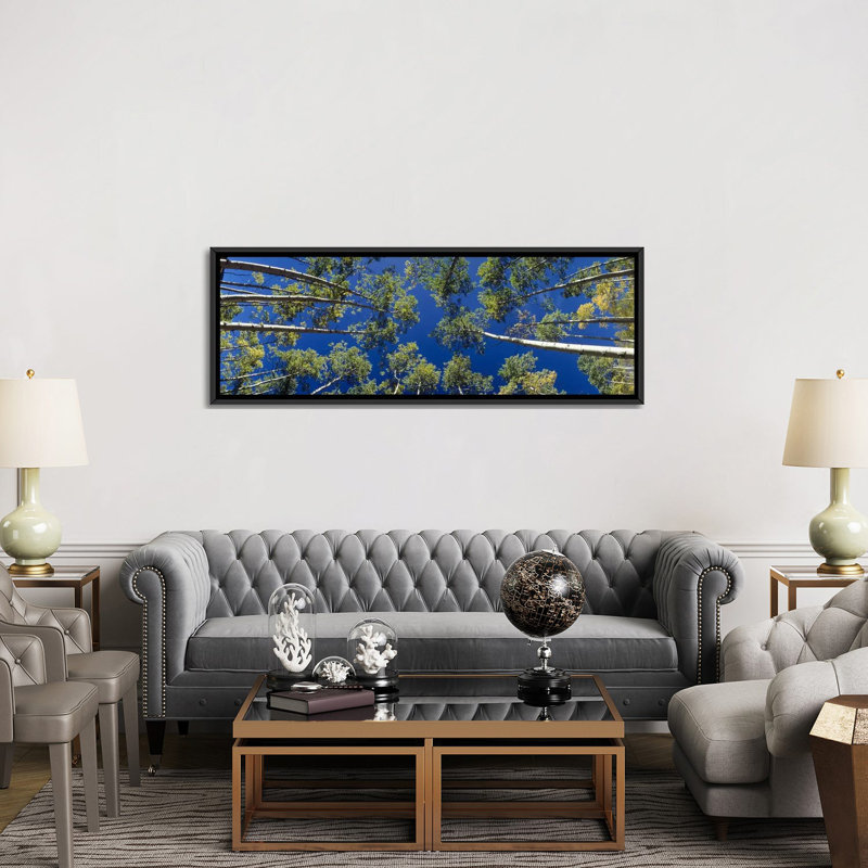 « panoramique white aspen trees », reproduction de photo sur toile tendue, H 20 po x l 60 po x P 1,5 po