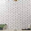 Octave 9.75 In. X 10 In. Polished Marble Mosaic Tile (0.67 Sqft/ Sheet)-151334731