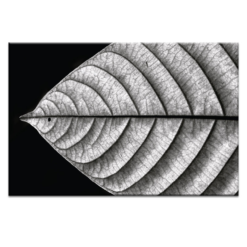 Print on Canvas, 51cm H x 76cm W, Wrapped Canvas
