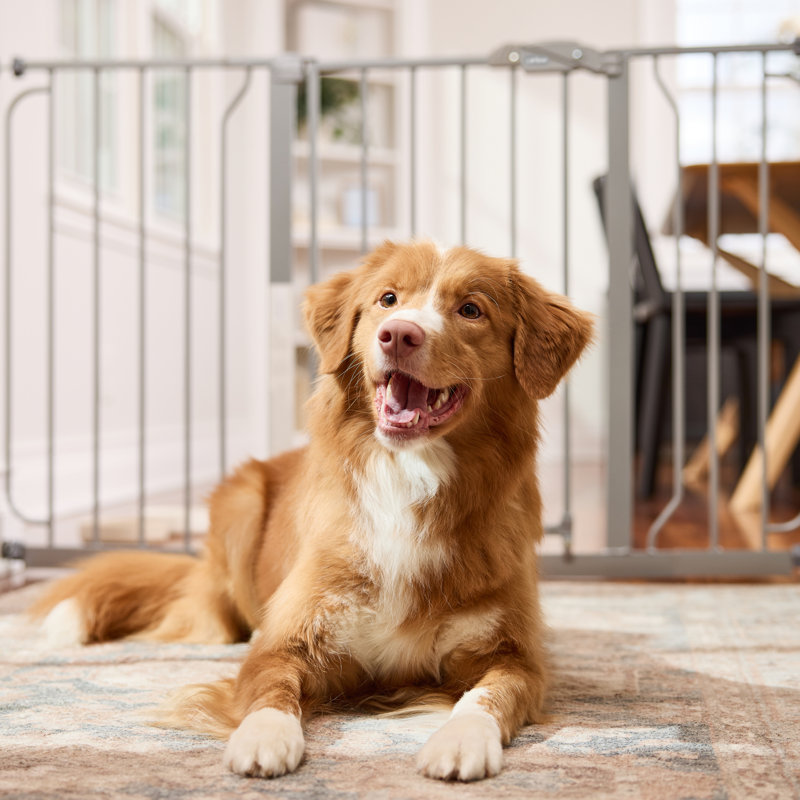 Metal Pressure Mounted Pet Gate With Door, Plantium, 30" H x 29" W x 51" D