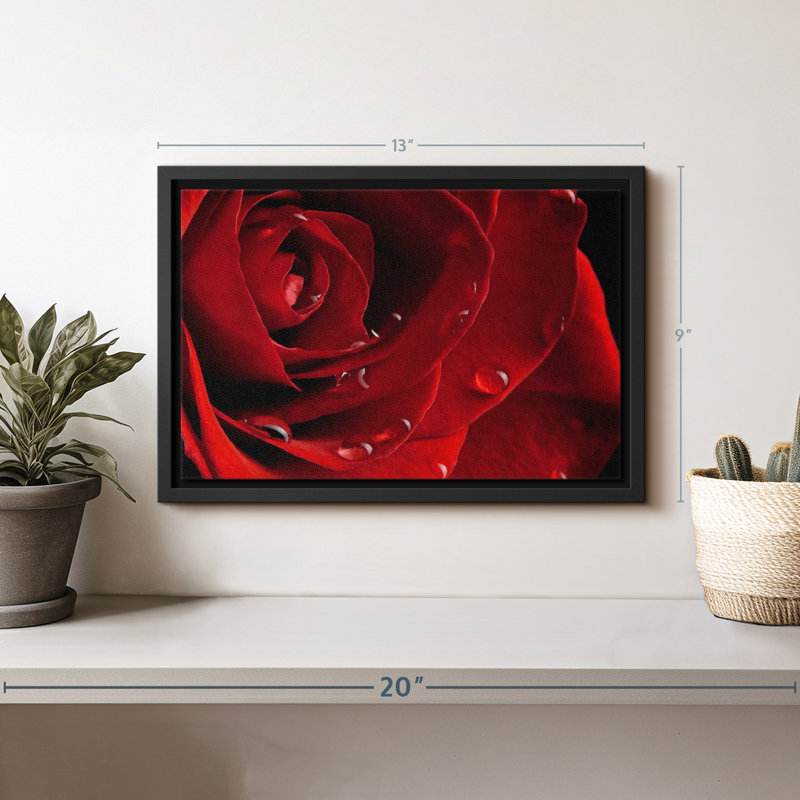 Fresh Red Rose Canvas Print, 9" H x 13" W