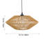 1 - Light  Caged Pendant