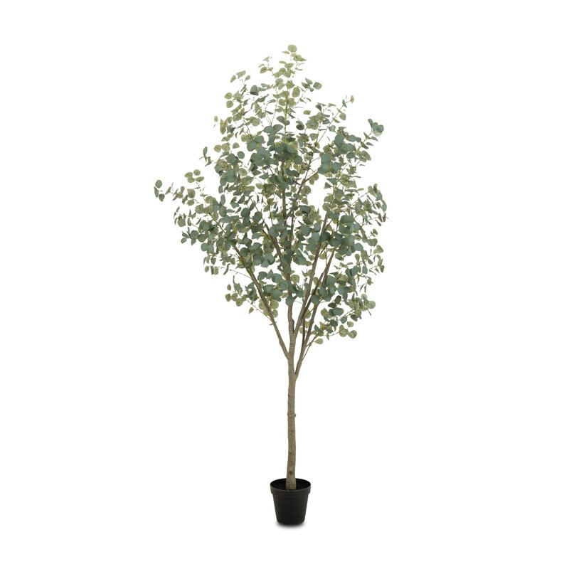 Faux Eucalyptus Tree-Faux Eucalyptus Tree-9', 107" H x 50" W