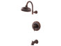 Rustic Bronze