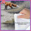 Édredon Three Foxes In Forest-126400421