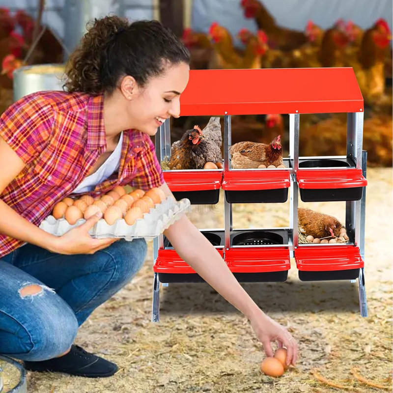 Egg Boxes & Baskets, Red, 95cm H x 81cm W x 52cm D
