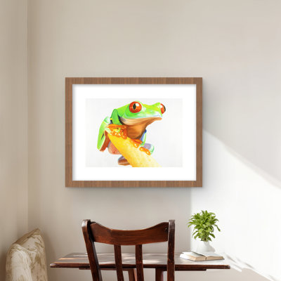 Curious Red Eyed Frog - Exotic Green Framed Print for Decor