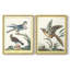 Pastel Birds III - reproduction encadrée de qualité supérieure - prête à être accrochée - aucun clou requis - aucun clou requis-408530415-408530413