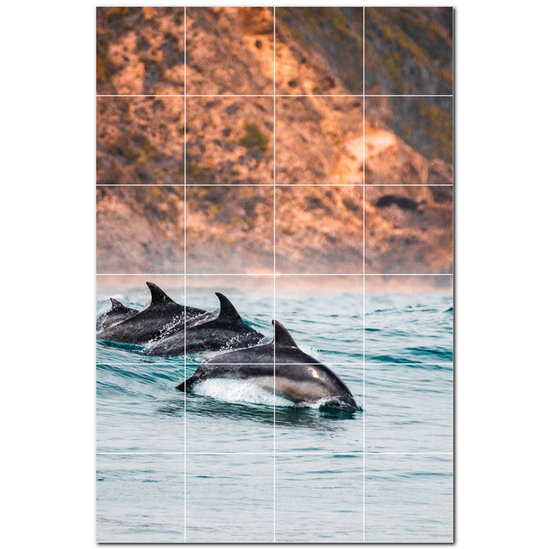 Dauphin photo 6 x 6