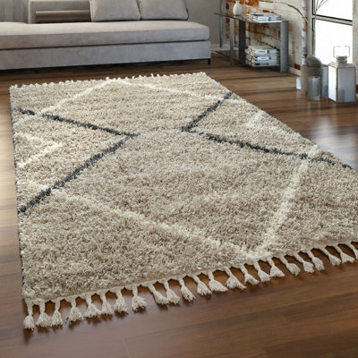 Forloney Geometric Shag Area Rug