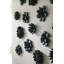 Compactum Succulent Wall Decor