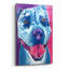 «Pit Bull - Merle» par Dawg Painter-984542480