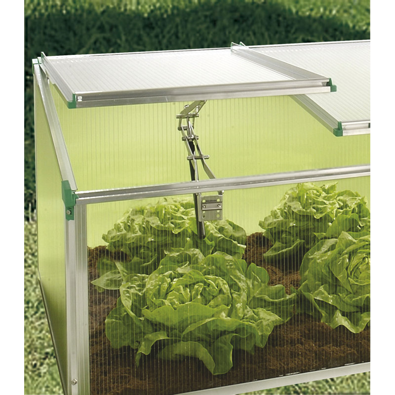 BioStar Cold Frame 31.2" W x 59.04" D