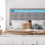 4Ft6 Double Bed Velvet Upholstered Bed With 7 Colors LED-Light Strips-311725764