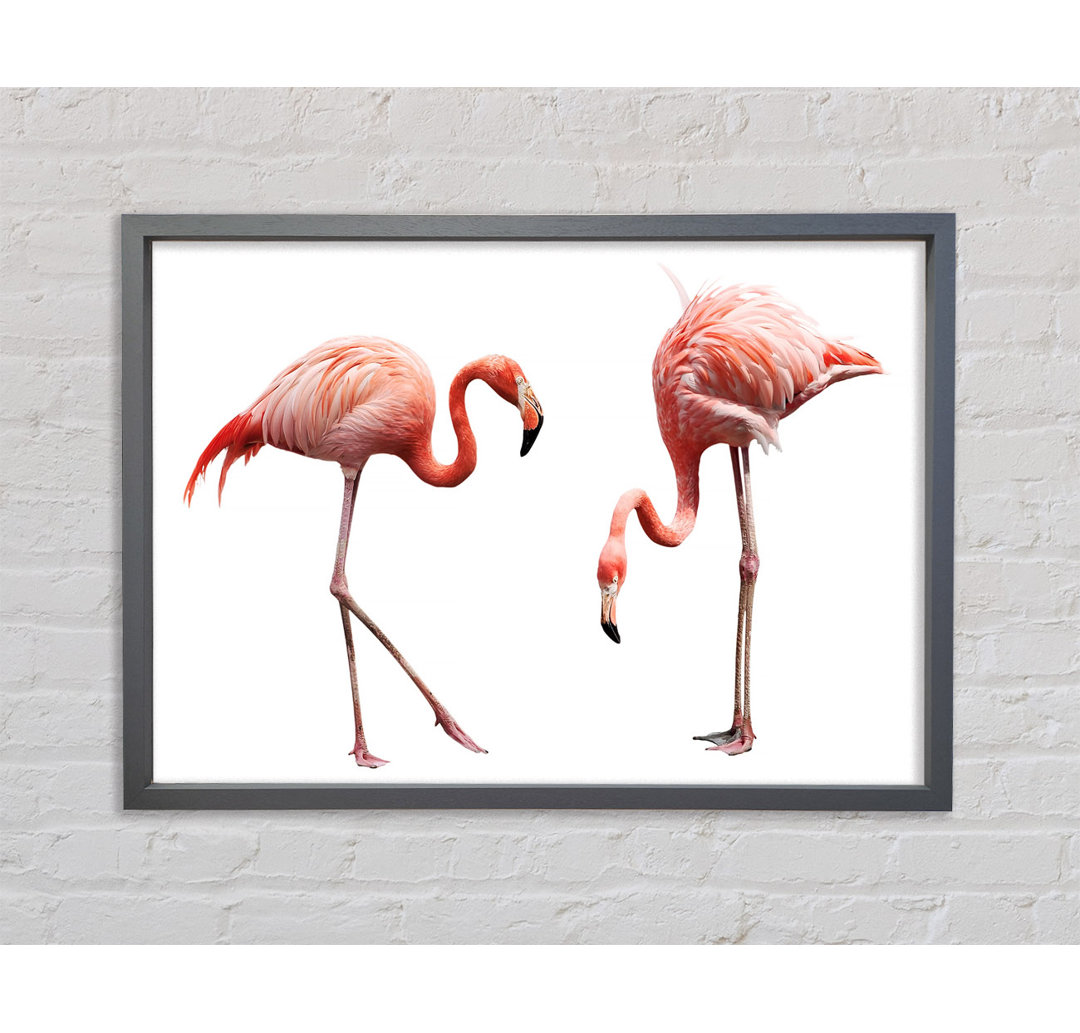 Rosa Flamingo Duo - Einzelbildrahmen Kunstdrucke auf Leinwand