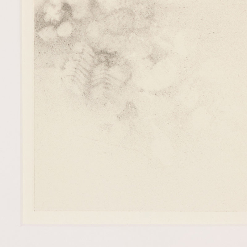 Breath Drawing Xxii By Adrián White, 16" H x 12" W