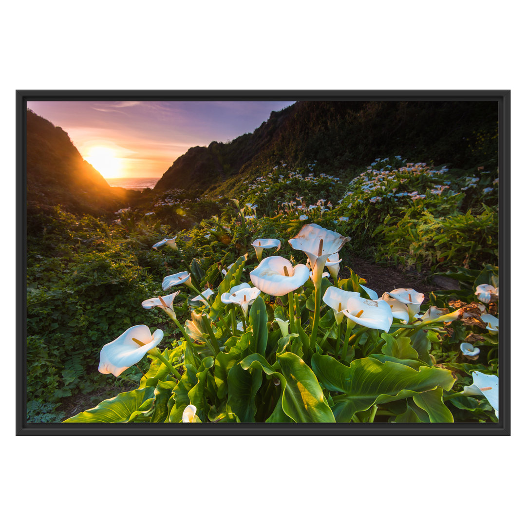 Gerahmtes Wandbild Blumenwiese in den Bergen