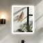 Miroir mural lumineux sans cadre Cevat