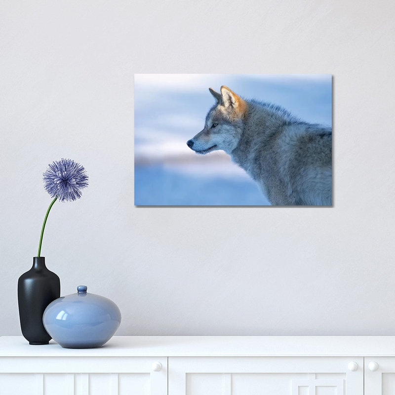 A Vigilant Wolf by Bingo Z - Wrapped Canvas Print, 30.48 cm H x 45.72 cm W
