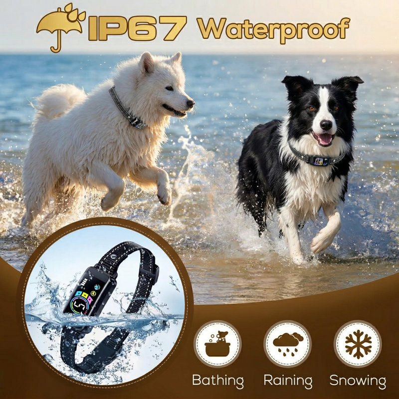 Bark Collar, paquet de 2, collier anti-aboiements pour chiens de grande taille, petits bips, vibrations et chocs inoffensifs, 5 réglages de sensibilité, noir