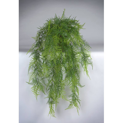 Kunstpflanze Asparagus in Topf