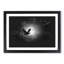 Flying Dove Bird - Picture Frame Graphic Art Print-56863237-56863238