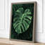 Monstera Leaf Study Botanical - Wrapped Canvas-1709538714-1709538725