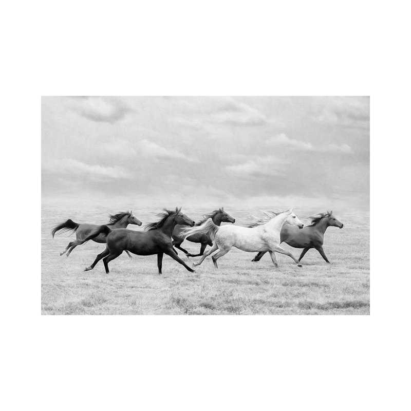 «Horse Run I» par PHBurchett - reproduction de photo sur toile tendue, H 12 po x l 18 po x 1,5 po