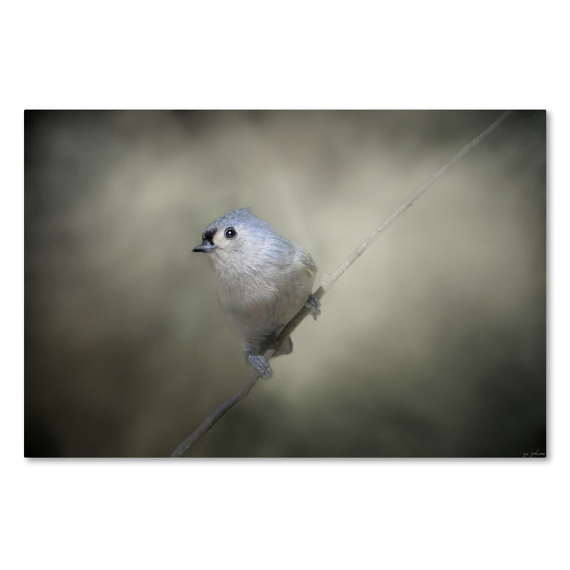 «Little Toufted Titmouse» de Vidur, impression sur toile tendue, H 12 po x l 19 po
