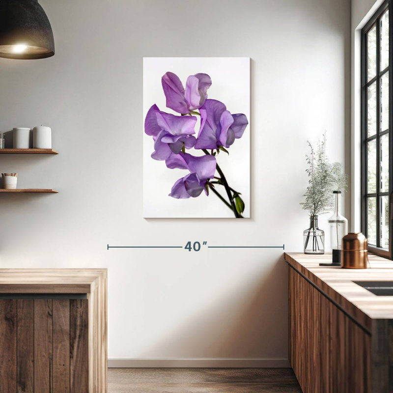 Fleurs de pois Harnek, H 36 po x l 24 po