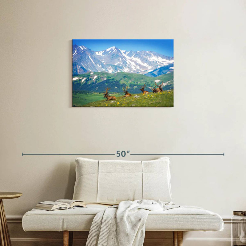 Brampt North American Elks, 20" H x 30" W